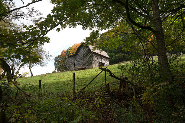 istock Gray barn in the country 523789543