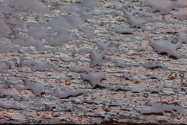 istock Waterdrop on  wooden floor during rain, abstract background 523790445