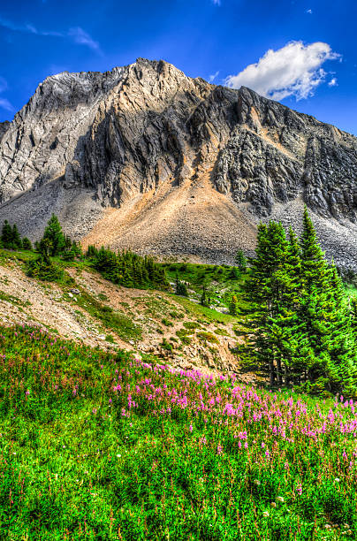 istock Hiking Ptarmigan Cirque 523790593
