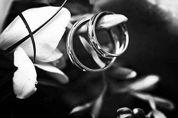anelli di fidanzamento witn diamanti su sfondo di natura, bianco e nero foto - jewelry ring luxury wedding foto e immagini stock