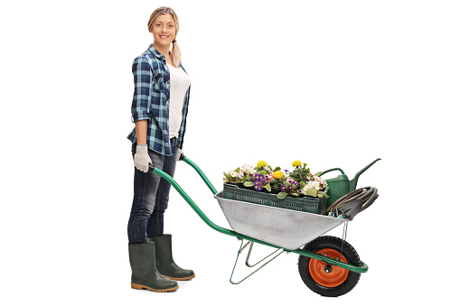 Full length portrait of a female gardener pushing a wheelbarrow full of gardening equipment isolated on white background