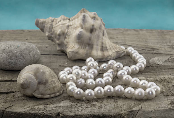 istock Pearl on wood with shells and water background 523824468