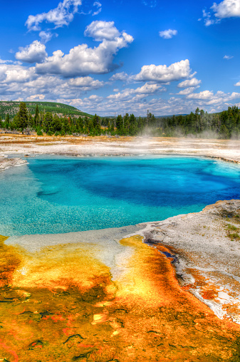 Scenic Landscapes of Geothermal activity of Yellowstone National Park USA - Biscuit Basin