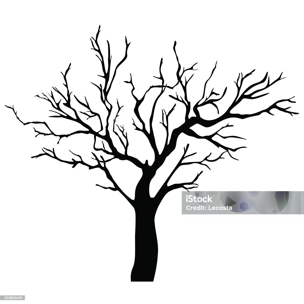 Vector tree silhouette Vector Tree Silhouette Isolated on White Backgorund. Autumn stock vector