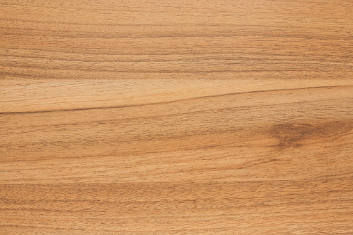 Wood background tedture