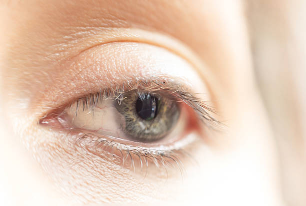 istock Close-up of a human eye 523829555