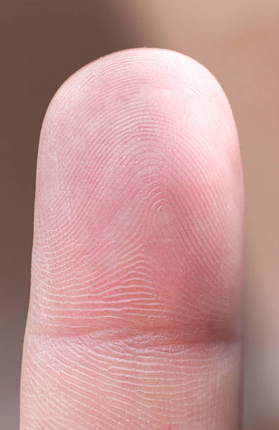 istock Close up of a finger print 523829559
