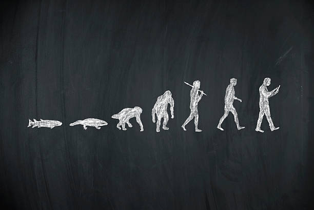 evolution of human Concept about the modern life - from fish to smartphone user - modern man living organism stock pictures, royalty-free photos & images