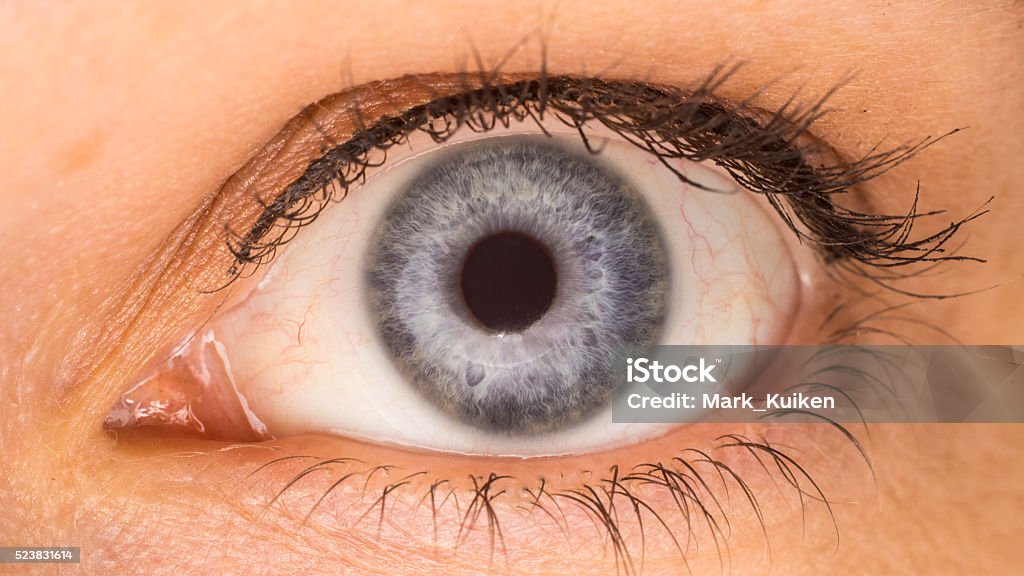 Blue eye A blue female right eye. Black Color Stock Photo