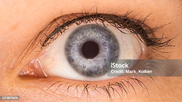 Blue Eye Stock Photo - Download Image Now - Black Color, Blue, Circle