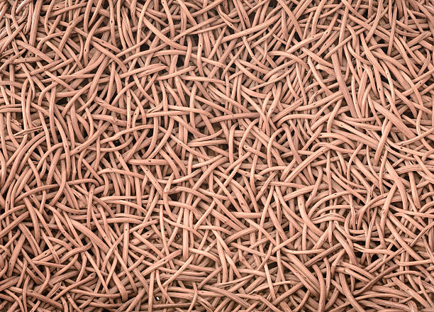 istock pattern nature background of decorative brown handicraft weave texture 523831647