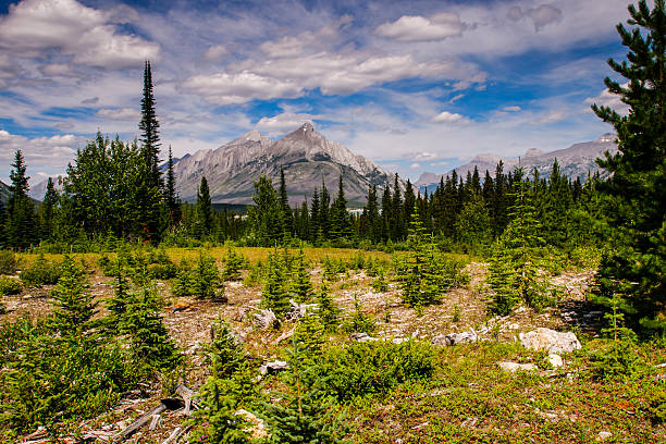 istock Beautiful mountain summer hiking views 523832501