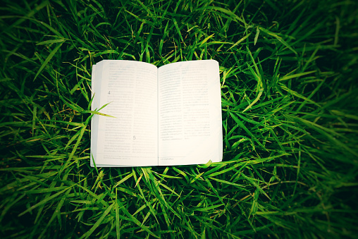 open book bible on green grass field in vintage tone blur background