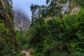 tropische-bergwelt-mit-hohen-klippen.jpg?b=1&s=170x170&k=20&c=J14NEnyRskLjM92uPM6KBP8nz69ZrARtx2dtxbJWKn0=