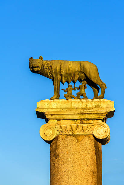 istock Capitoline Wolf statue in Rome, Italy 523859096