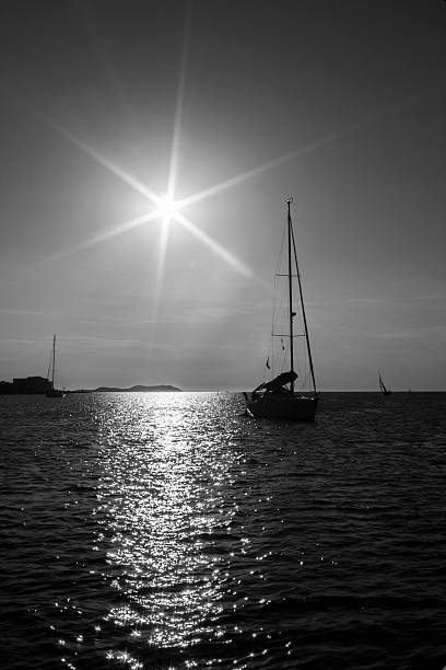 blanco y negro de retroiluminación reflexiones de la puesta del sol en el mar. - waterbirds fotografías e imágenes de stock