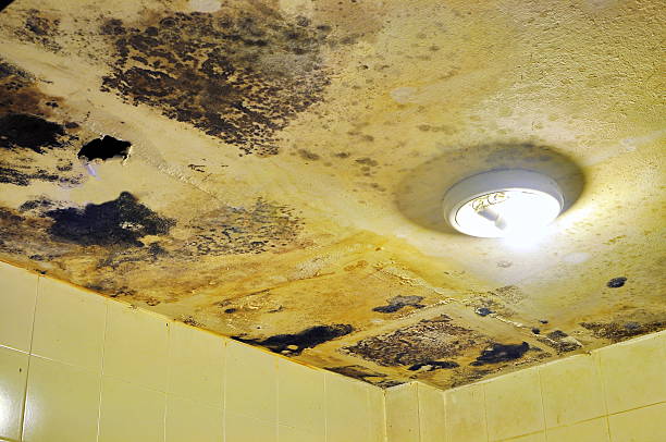 istock Water damaged ceiling and Fungus in bathroom 523864762