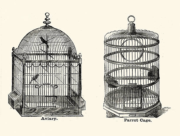 victorian bird cages - 鳥籠 插圖 個照片及圖片檔