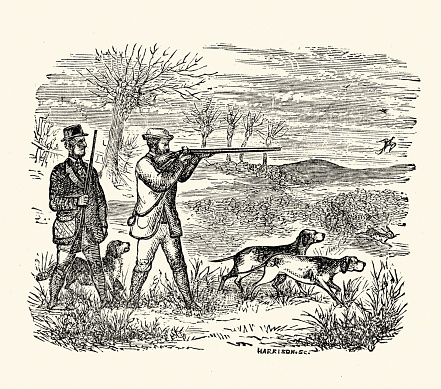 Vintage engraving of a Victorian gentleman hunting game with his dogs and gun. 1871