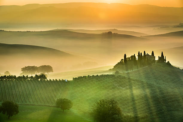 istock Sunrise over the green fields in Tuscany 523872371