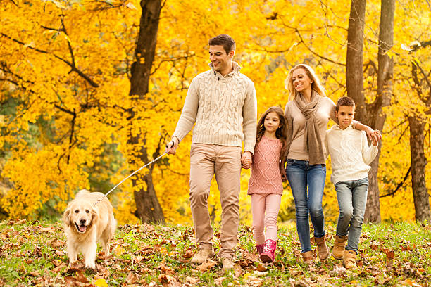 istock Family Walking Along Autumn Path With Dog 523872473