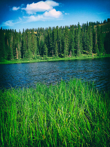 istock rocky mountain nature landscape inspiration 523874780