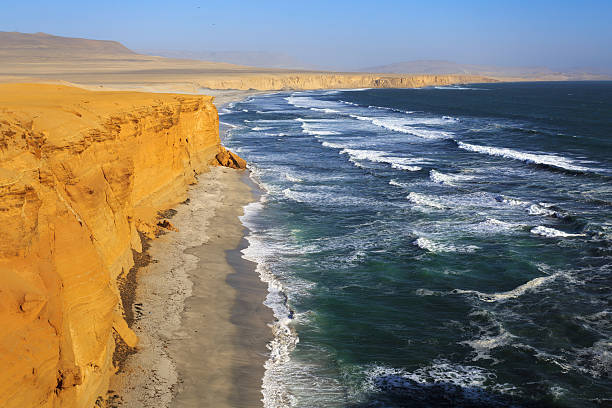 istock National Park Paracas, Peru 523875043