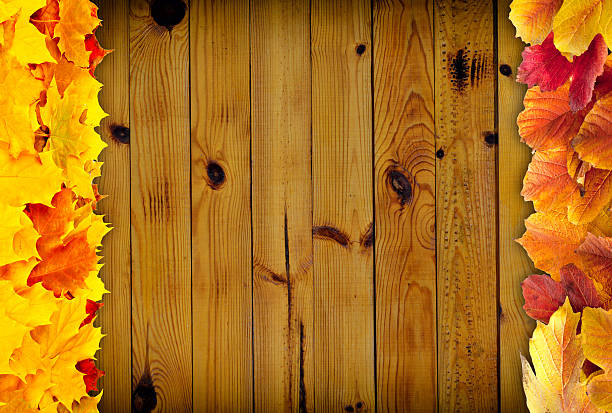 Autumn leaves over wooden background with copy space