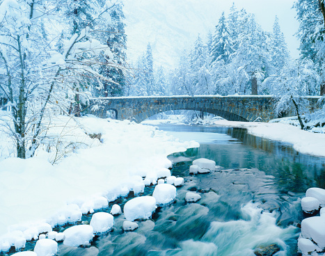 Fresh Winter snow laden pine trees along the Merced River with a stone arch bridge in Yosemite National Park