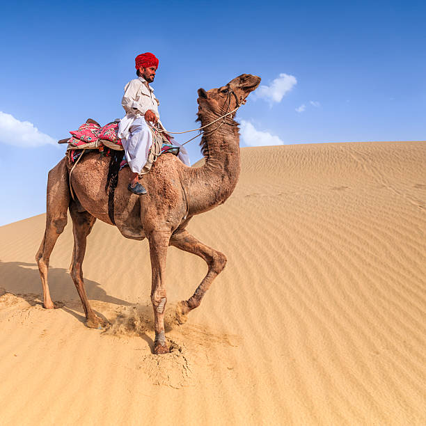 istock Indian man riding camel on sand dunes, Rajasthan, India 523876366