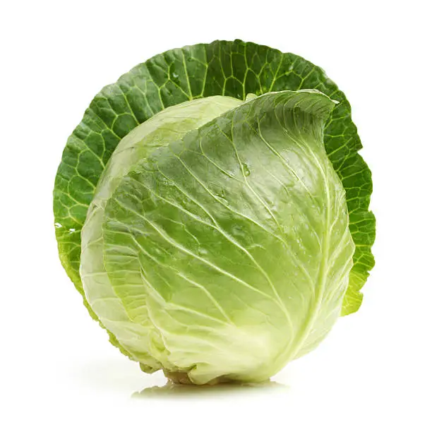 Fresh Cabbage isolated on white