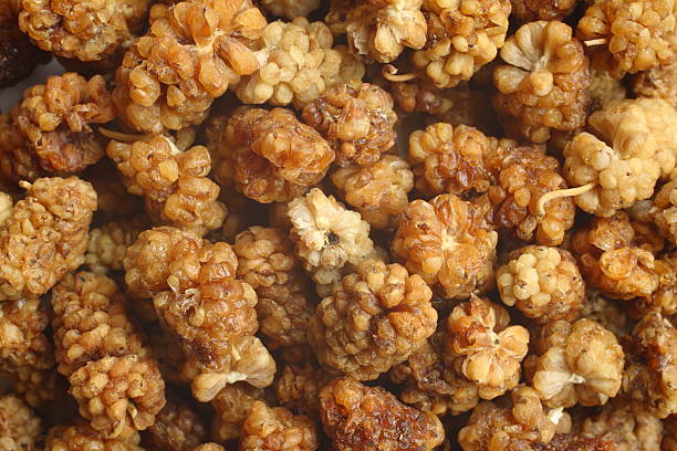 istock Background of dried white mulberries 523876909