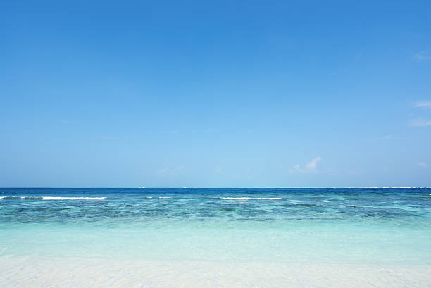istock Green tropical lagoon and blue sky background 523878662