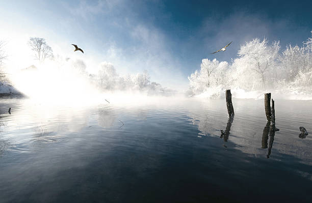 素晴らしい景観の池、木雪の中 - unfrozen ストックフォトと画像