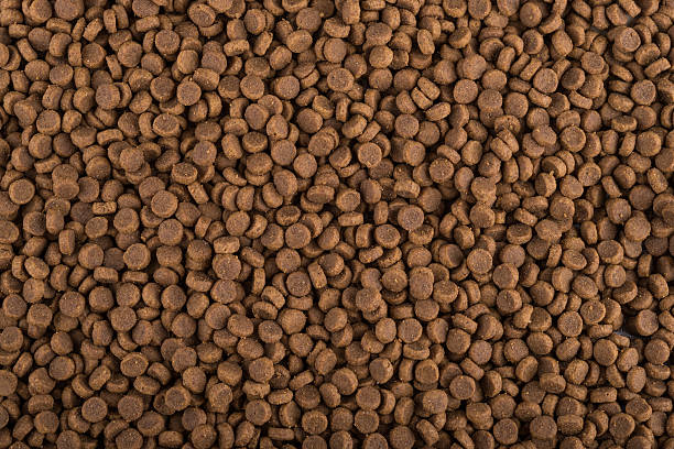 Dry Pet Food