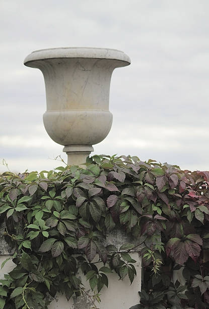 istock marble vase in ancient park 523882438