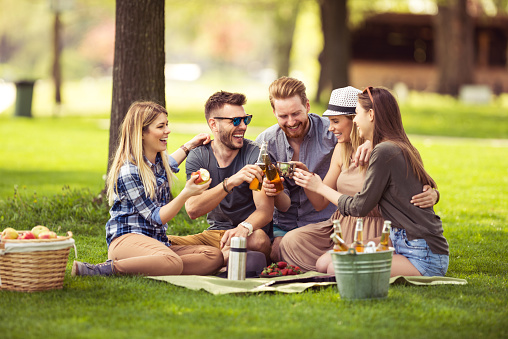 Smiling friends enjoying drinks on a picnic adventure.