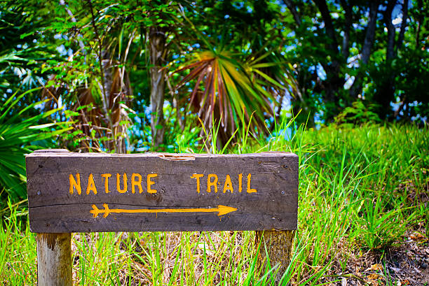 istock Wooden sign in nature 523883692