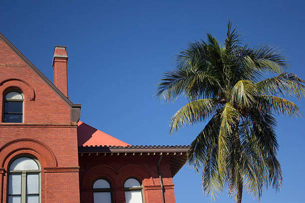 istock Building in Miami Florida 523884036