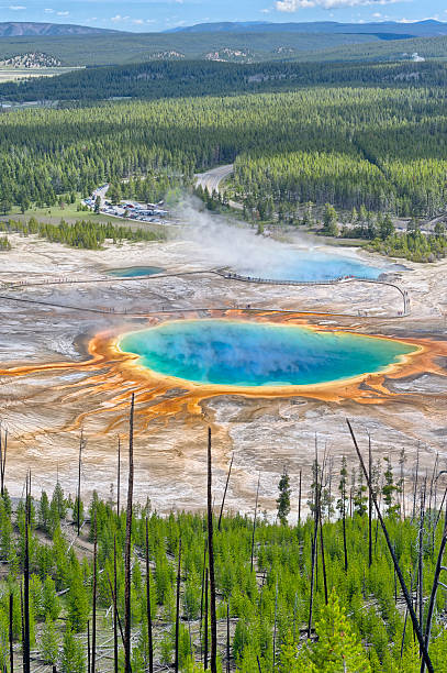 Grand Prismatic Spring from Picture Hill Grand Prismatic Spring from Picture Hill, Yellowstone National Park, Wyoming midway geyser basin photos stock pictures, royalty-free photos & images