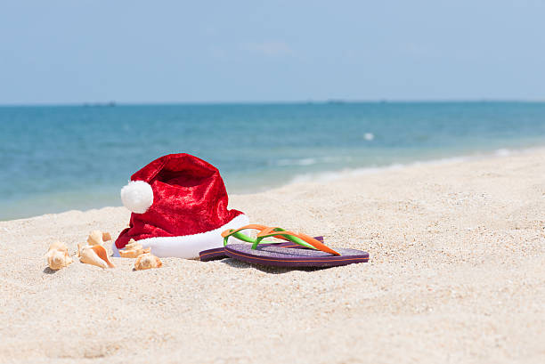 istock Tropical Christmas on a sandy beach 523892319