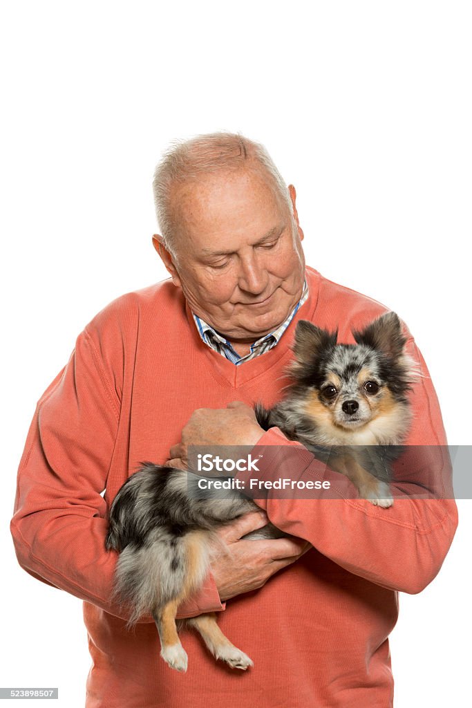 Senior man and his dog Senior man and his dog, Chihuahua Dog Stock Photo