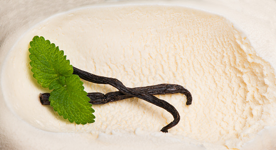 surface texture of scoop of vanilla ice cream with vanilla pods and mint