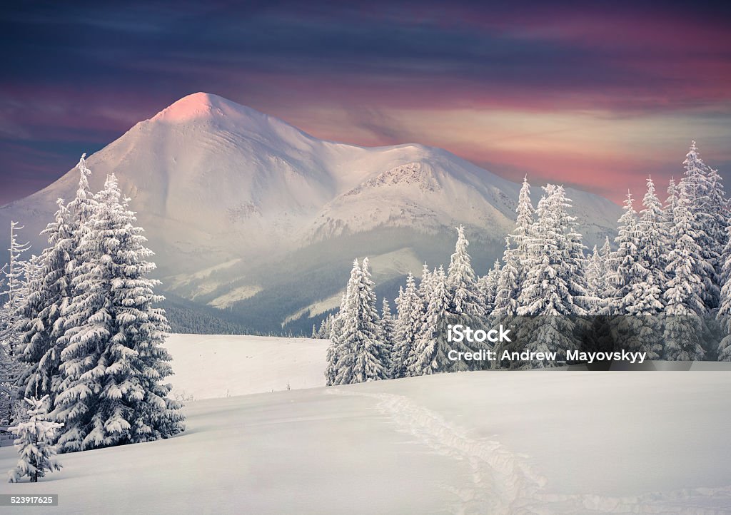 Beautiful winter sunrise in the mountains. Beauty In Nature Stock Photo