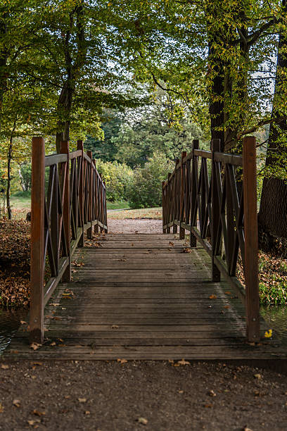 im herbstwald brücke - herbstwald fotografías e imágenes de stock