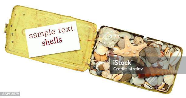 Sea Shells Stones Stock Photo - Download Image Now - Abstract, Animal, Animal Shell