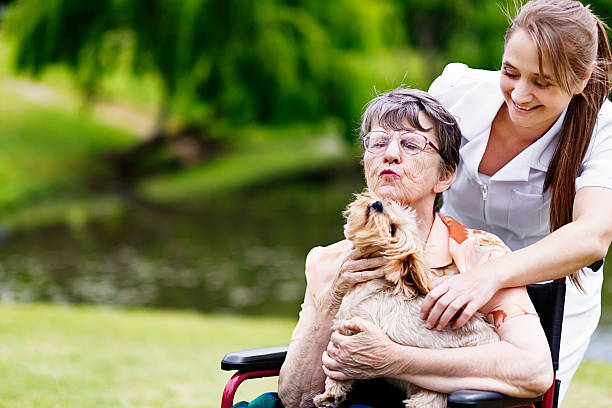 istock Happy interaction between nurse, patient, and pet dog in park 523918921