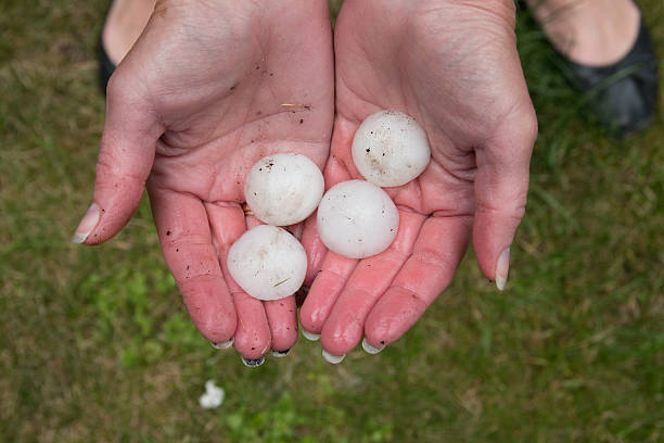 istock Woman holding hail in her hands 523919957