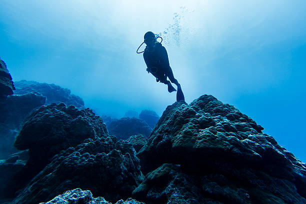 istock Single Diver Plunging into the Blue Depths in Bora Bora 523920385