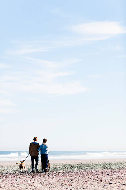 istock Enjoying The Day Out With Our Dogs 523920799
